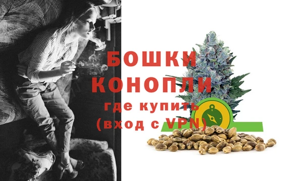 мяу мяу мука Белокуриха