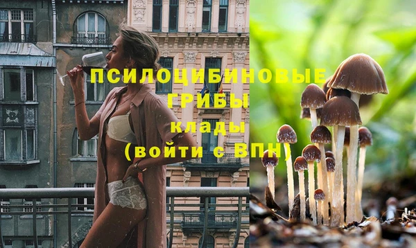 мяу мяу мука Белокуриха