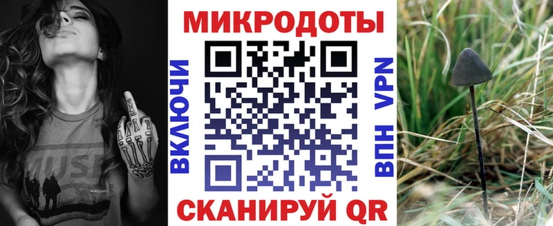 Псилоцибиновые грибы мухоморы  дарнет шоп  Красный Холм 